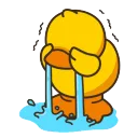 duckcrying duckcrying