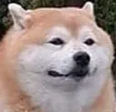 FETBOYE