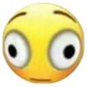 florshed2