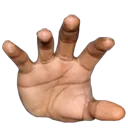 hands