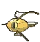 magikarp