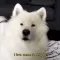 henlo2