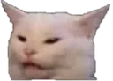 y_memecat