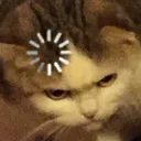 loadingcat loadingcat