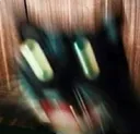 Catcrz Catcrz