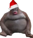 festivemonke
