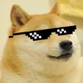 deal_with_doge Discord Emoji