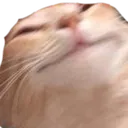 HNGGGG