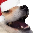 christmasKek christmasKek
