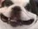 Lennu_Smile