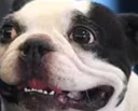 Lennu_Scared Lennu_Scared