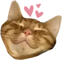 uwu
