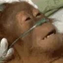 dead dead