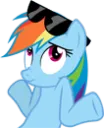 RainbowDashShrug