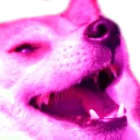 dogepinkKEK