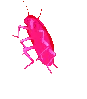 HOESMADpink