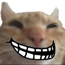 swagtroll