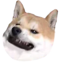 dogerezzo Discord Emoji