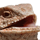 hehehehehe