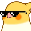 birbcool