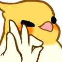 birbok birbok