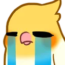 birbcry