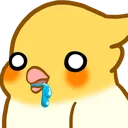 birbdrool