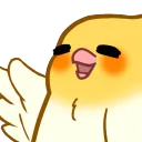 birbwave