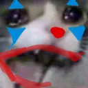 njrcataaa njrcataaa