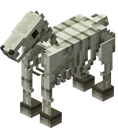 skeletonhorse skeletonhorse