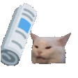 :catwhack: Discord Emote