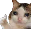 sadcatthumbsup Discord emoji