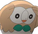 rowlet rowlet
