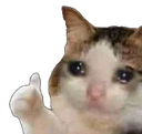 :sadcatthumbsup: Discord Emote