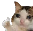 Sadcatthumbsup sadcatthumbsup Discord Emoji