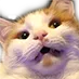 catWut2 Discord Emoji