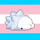 SupportiveTrans