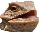 Hhhehehe