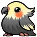 BxWRoss4OwO