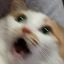 nani nani