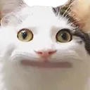 starejake