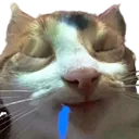 staresleep