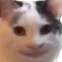 stareweird