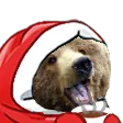 xmasbear xmasbear