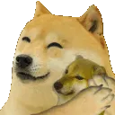 dogehugs