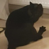 Salem