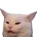wutcat wutcat
