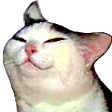 smugcat Discord emoji