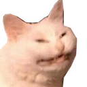 smirkcat Discord emoji