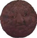 Meat